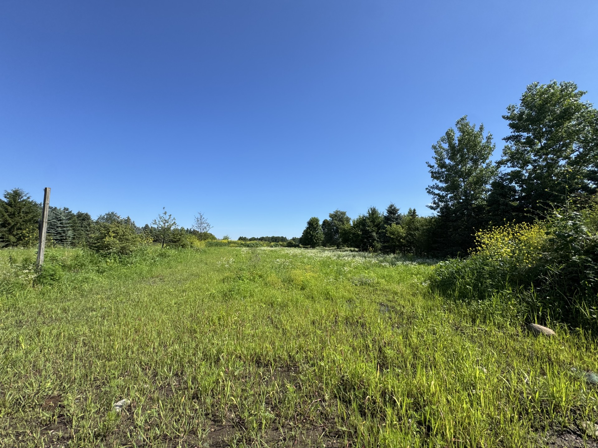 Mogren Farms Parcel A 23.63 Acres